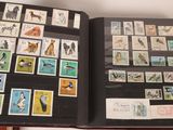 a book with a lot of stamps on it