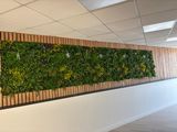 a picture of a living wall with plants growing on it
