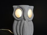 an owl lamp with two glowing eyes sitting on top of a table