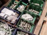 de nombreux cartons de canettes de soda posés sur une palette