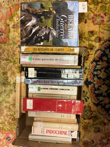 Ensemble de volumes sur la guerre en INDOCHINE : La bataille de D...