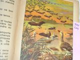 a picture of an open book with a picture of birds on it