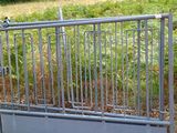 un portail en métal surmonté d'un oiseau, dans un champ