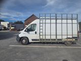 a white truck that is parked in a parking lot