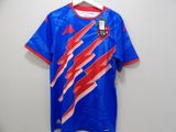 un maillot de foot bleu et rouge accroché au mur