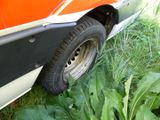 a car that is parked in the grass by some plants