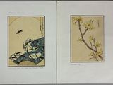 an open book with two illustrations of birds and flowers