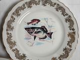 two plates with fish painted on them sitting on a table