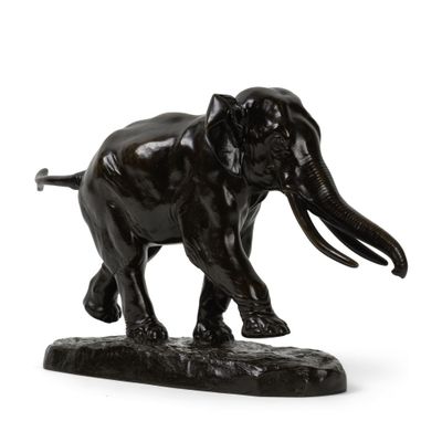 statue d'un éléphant avec ses défenses, sur fond blanc