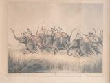 un dessin représentant un groupe d'hommes chevauchant des éléphants