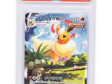 the pokemon trading card is in a clear plastic holder