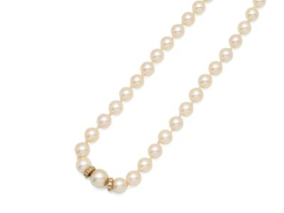 un collier de perles blanches avec un fermoir en or sur fond blanc