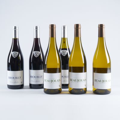 six bouteilles de vin sont alignées sur une surface blanche