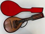 a mandolin and a guitar in a case on a table