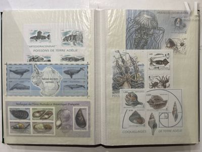 an open book with a picture of animals and fish on it