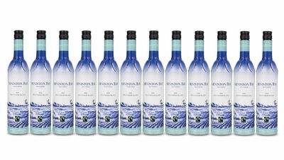 Lot de 12 sauvignons blanc 13 % en bouteilles