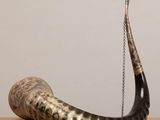 a horn with a chain hanging from it on a table