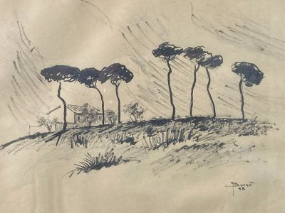 a drawing of three trees on a hill with a house in the background