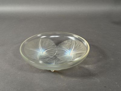 un bol en verre contenant une fleur