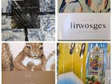 plusieurs photos de divers articles exposés sur une table dans un magasin