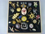 une photo d'une collection de broches dans une vitrine