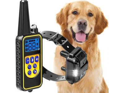 a dog that is standing next to a remote control collar