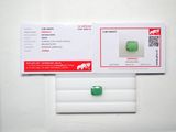 une photo d'une fausse pilule verte sur fond blanc