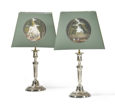 pair of lamps with a picture of a park scene on the lampshade