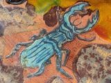 painting of a beetle on a rock with a butterfly on it ' s back