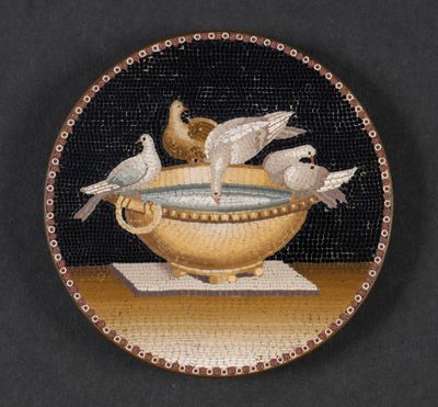 deux oiseaux perchés au-dessus d'un bol d'eau
