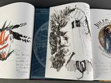 an open book with a drawing of a horse and a picture of a horse