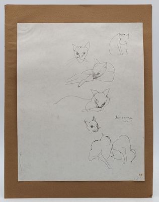 drawing of a group of cats on a piece of paper