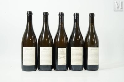 six bouteilles de vin sont alignées sur une surface blanche