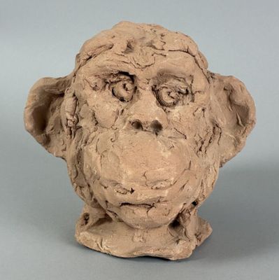 une sculpture en argile représentant une tête de singe, posée sur une table