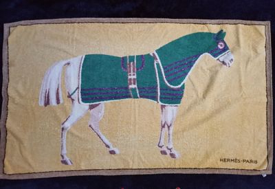 une photo d'une photo d'un cheval avec une couverture
