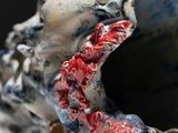 a close up of a sculpture of a shark ' s mouth