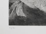 an image of a black and white drawing of a bird on a branch