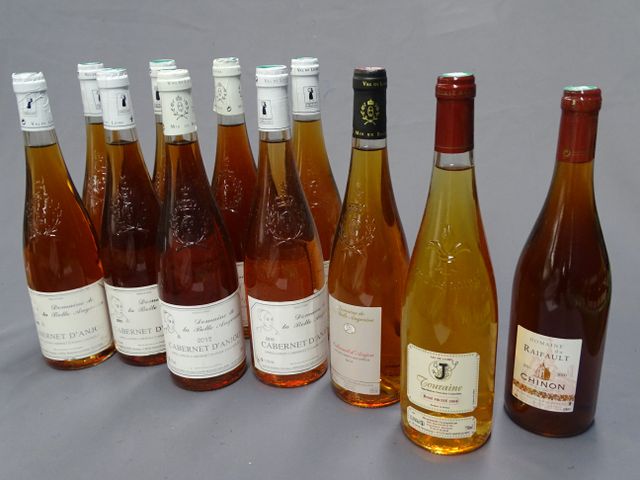 Rosé : CABERNET D’ANJOU , DOMAINE DE LA BELLE ANGEVINE, 2 bouteil...