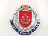 the badge of the singapore defence force is displayed on the back of a car