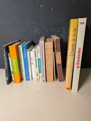 Plusieurs livres sont alignés sur une étagère devant un mur noir