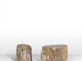 deux morceaux de bois posés l'un à côté de l'autre sur une surface blanche