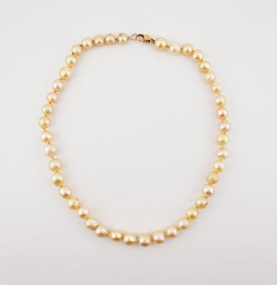 a pearl necklace with a gold clasp on a white background