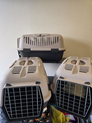 Lot 6 caisses transport animaux pour chat et petit chien long 50cm, la - Photo 1