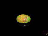an oplite in the dark with a black background