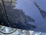 a close up of a car ' s headlight with a tree in the background