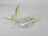 two empty glass vases with green ribbon on a white background
