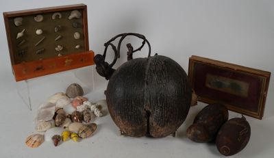 un grand nombre d'objets posés sur une table