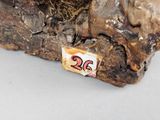 a close up of a piece of wood with a number on it