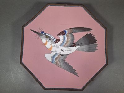 une photo d'un oiseau en plein vol