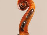 a close up of the back of a violin with a scroll
